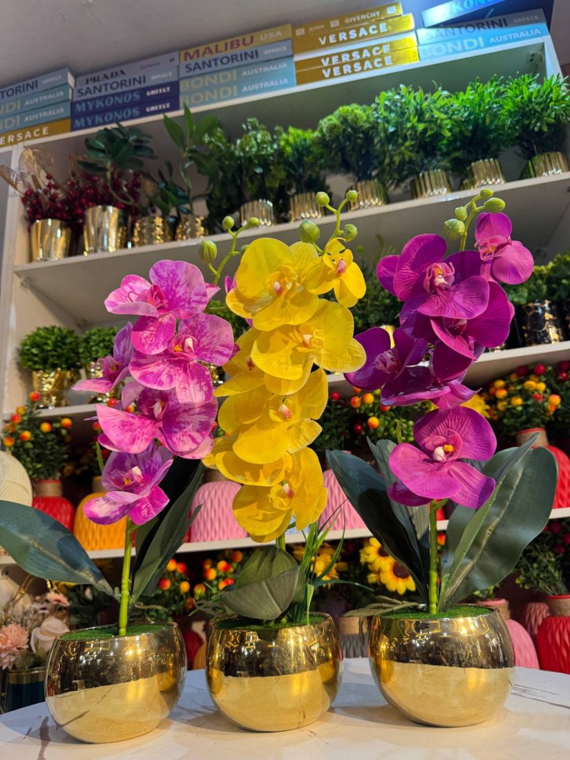 Round Gold pot orchid Flower Flowers decor from Eleos Decor main product view