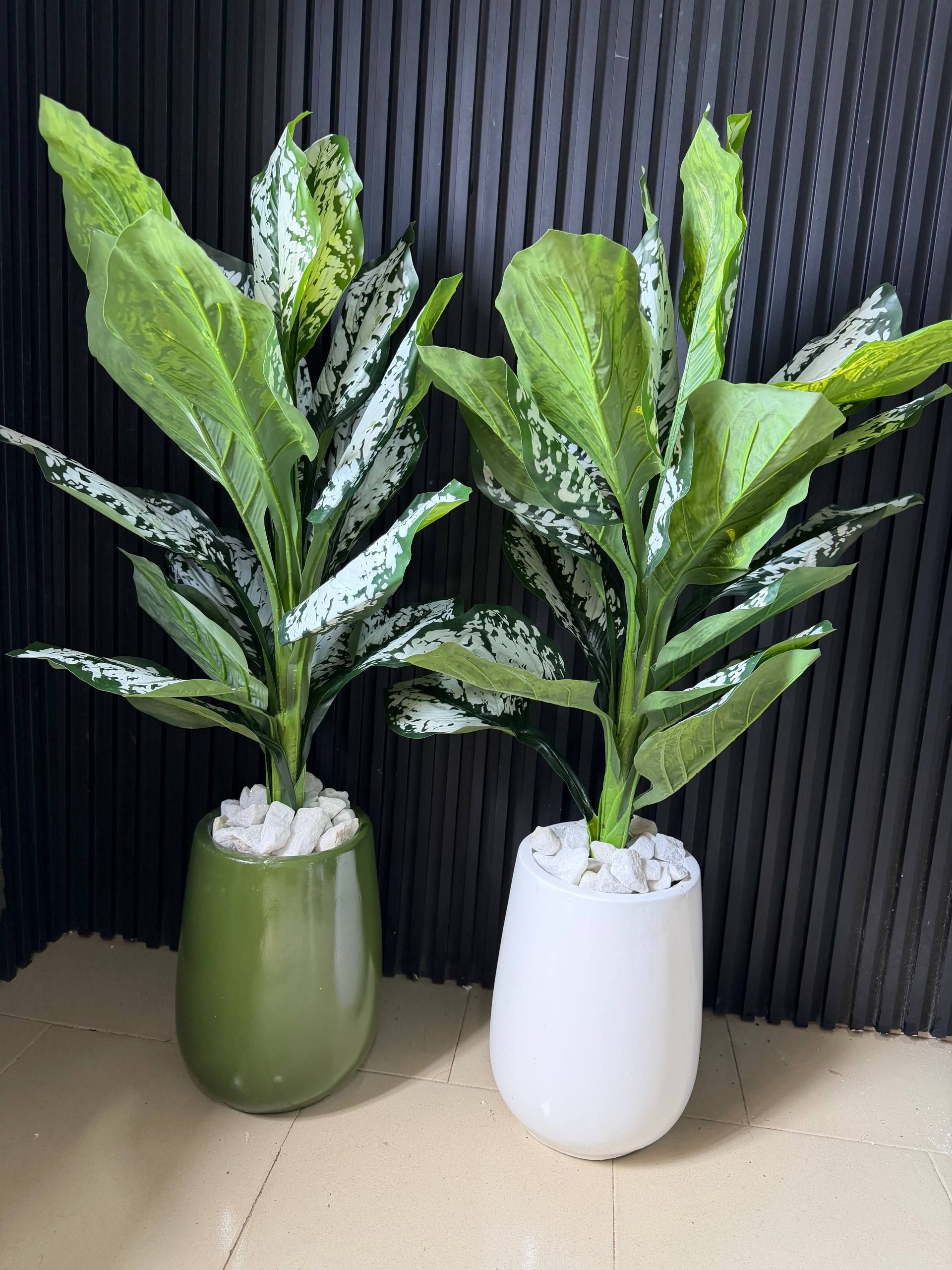 Egg Accent VASE with watermelon plant Plants decor from Eleos Decor 2