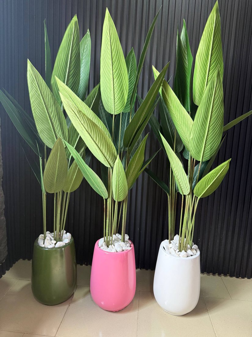 Egg Accent VASE with banana plant Plants decor from Eleos Decor main product view
