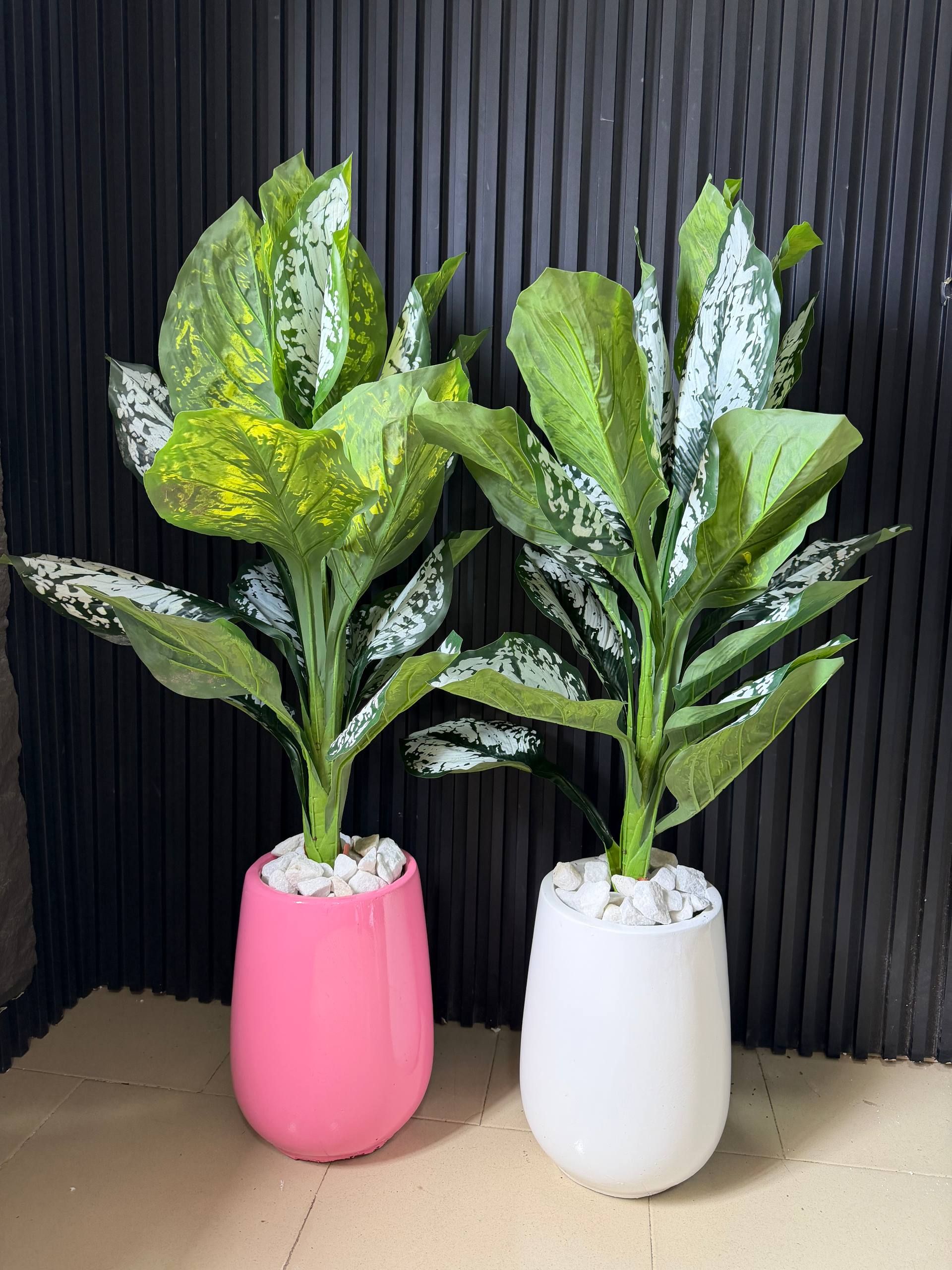 Egg Accent VASE with watermelon plant Plants decor from Eleos Decor